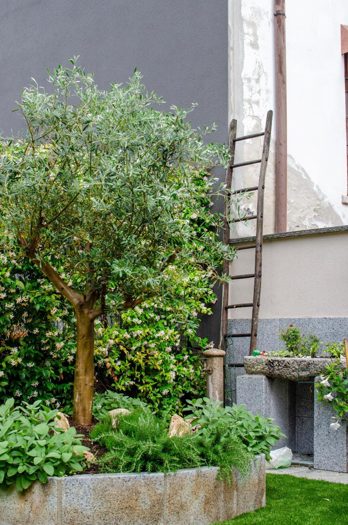 Vista B&B Pella Dış mekan fotoğraf